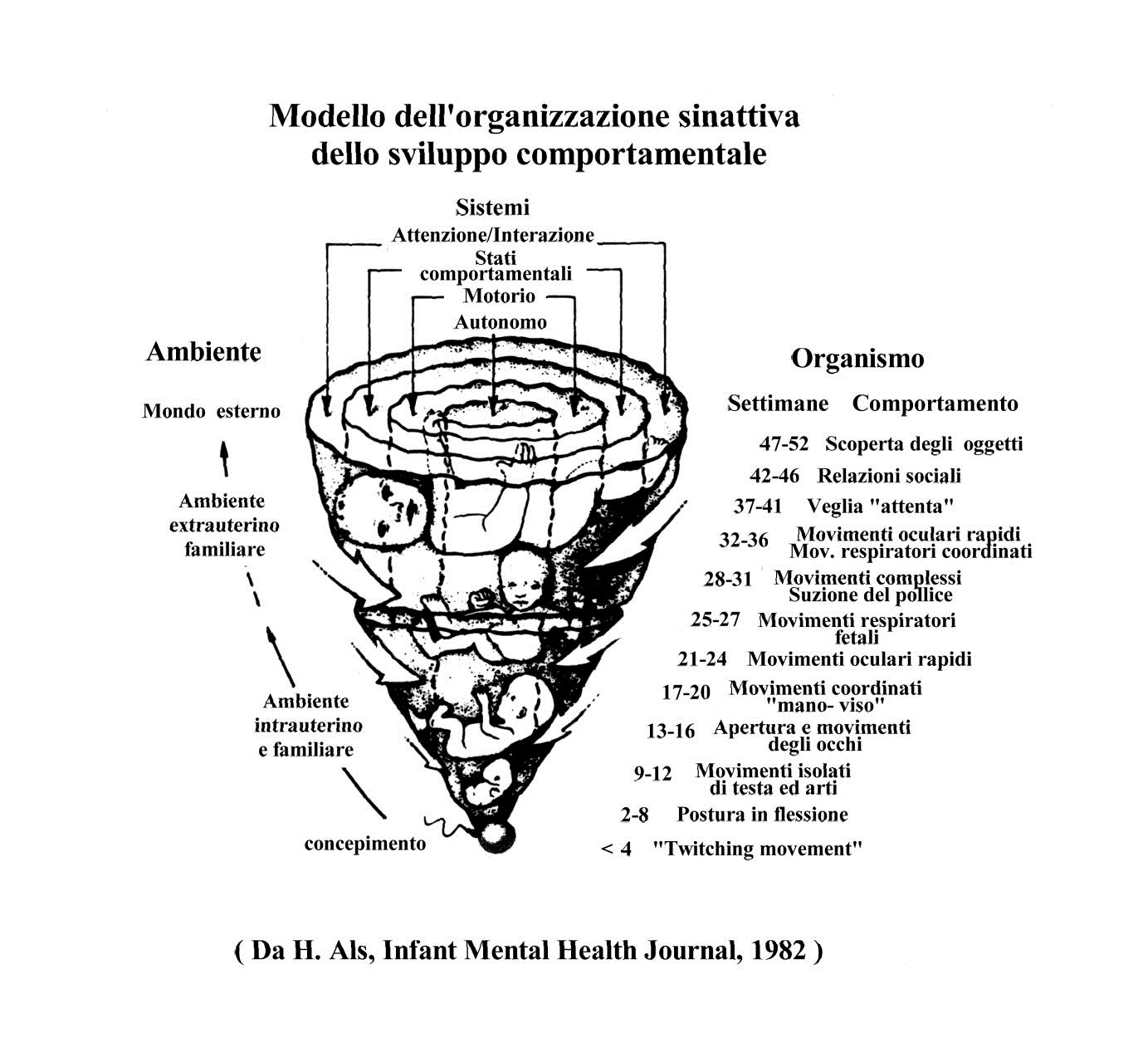 PROGETTAZIONE DI UN OPUSCOLO per la “Promozione dello sviluppo  neuropsicomotorio nel neonato late preterm”: strumenti e metodi,  osservazione, stabilità posturo-motoria, proposte visive e uditive,  alimentazione, sonno, buone pratiche - www