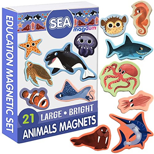 magdum Animali Marini Magneti Bambini - 21 Grandi Calamite Frigorifero -  Calamite Bambini - Giochi Bambini 3 Anni - Animali Giocattolo per Bambini -  Calamite Animali per Bambini - Giochi Magnetici - Giochi e Prodotti per  l'Età Evolutiva